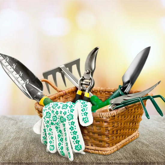 Garden Tools & Equipment