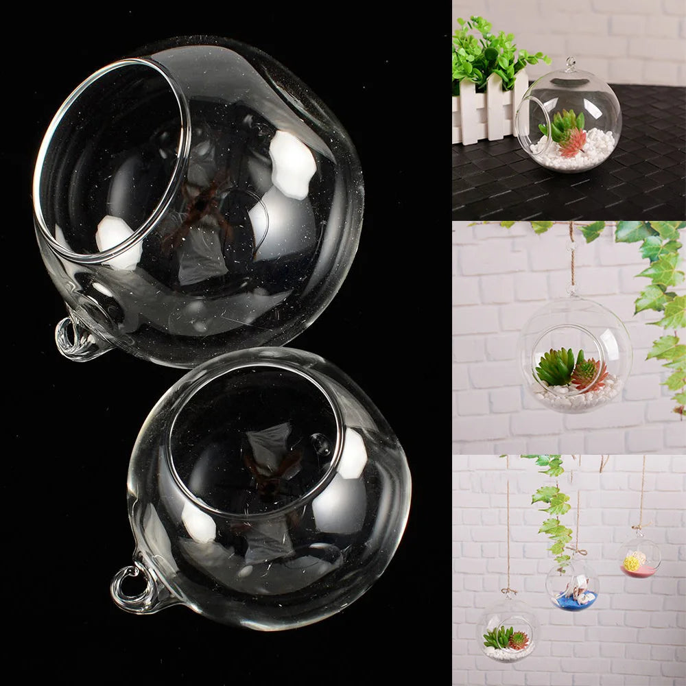 Clear Glass Globe Terrarium