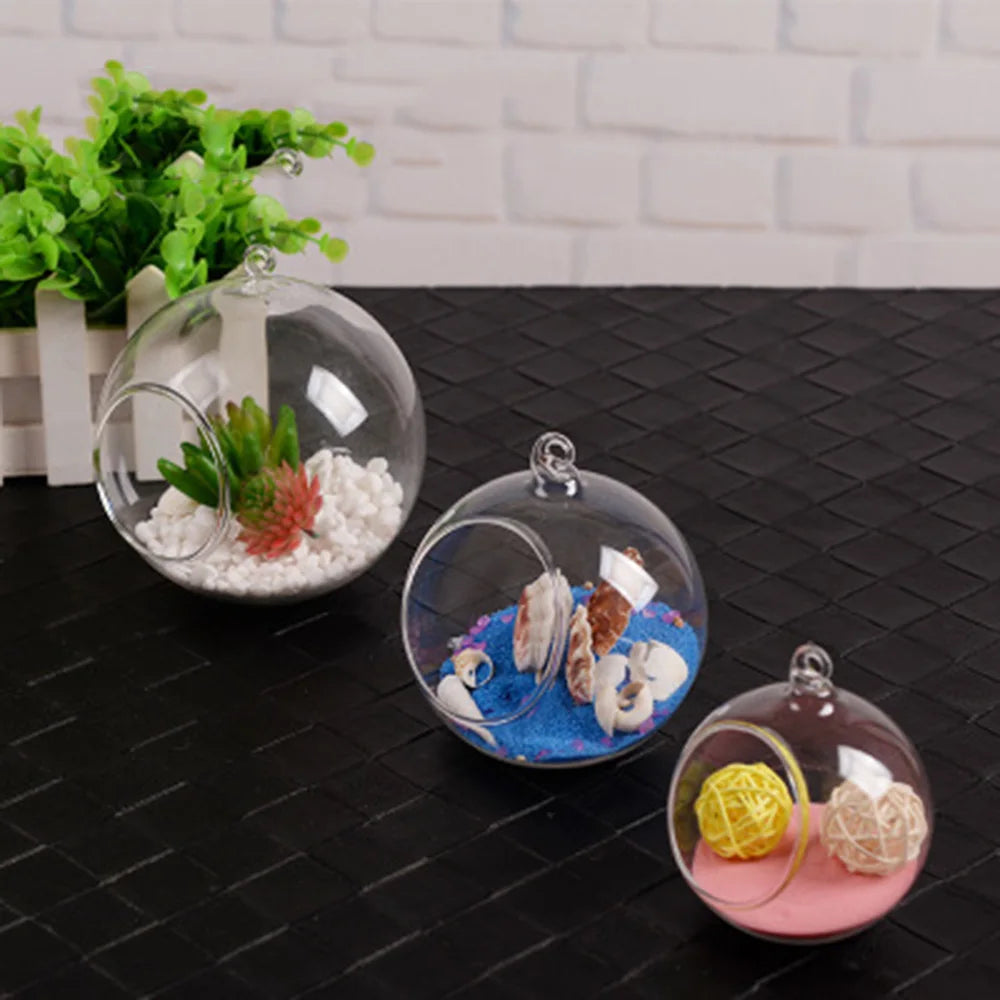 Clear Glass Globe Terrarium