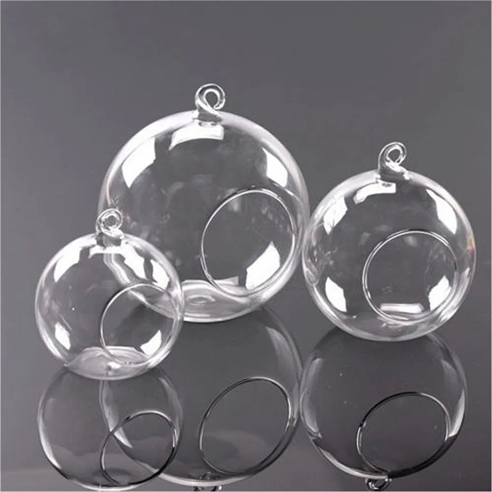 Clear Glass Globe Terrarium