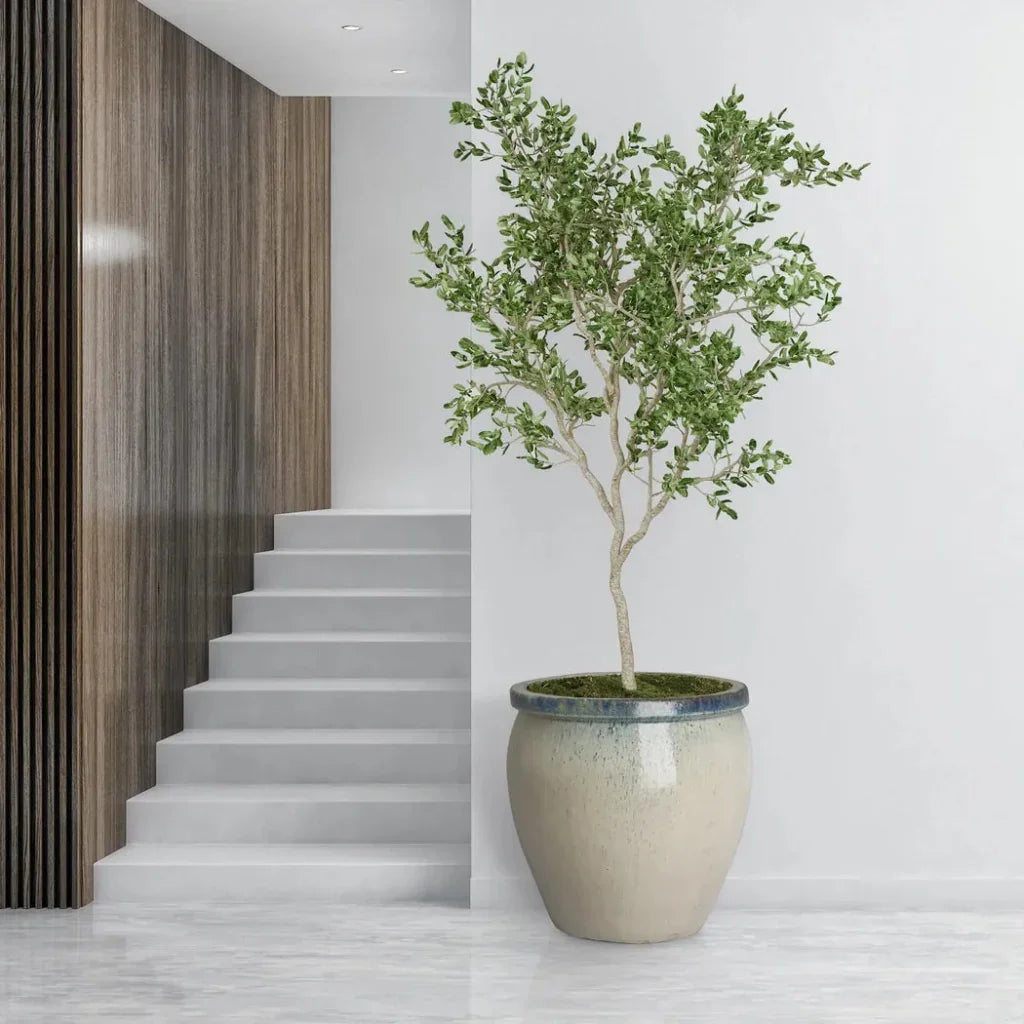 Round Crafted Ceramic Planter