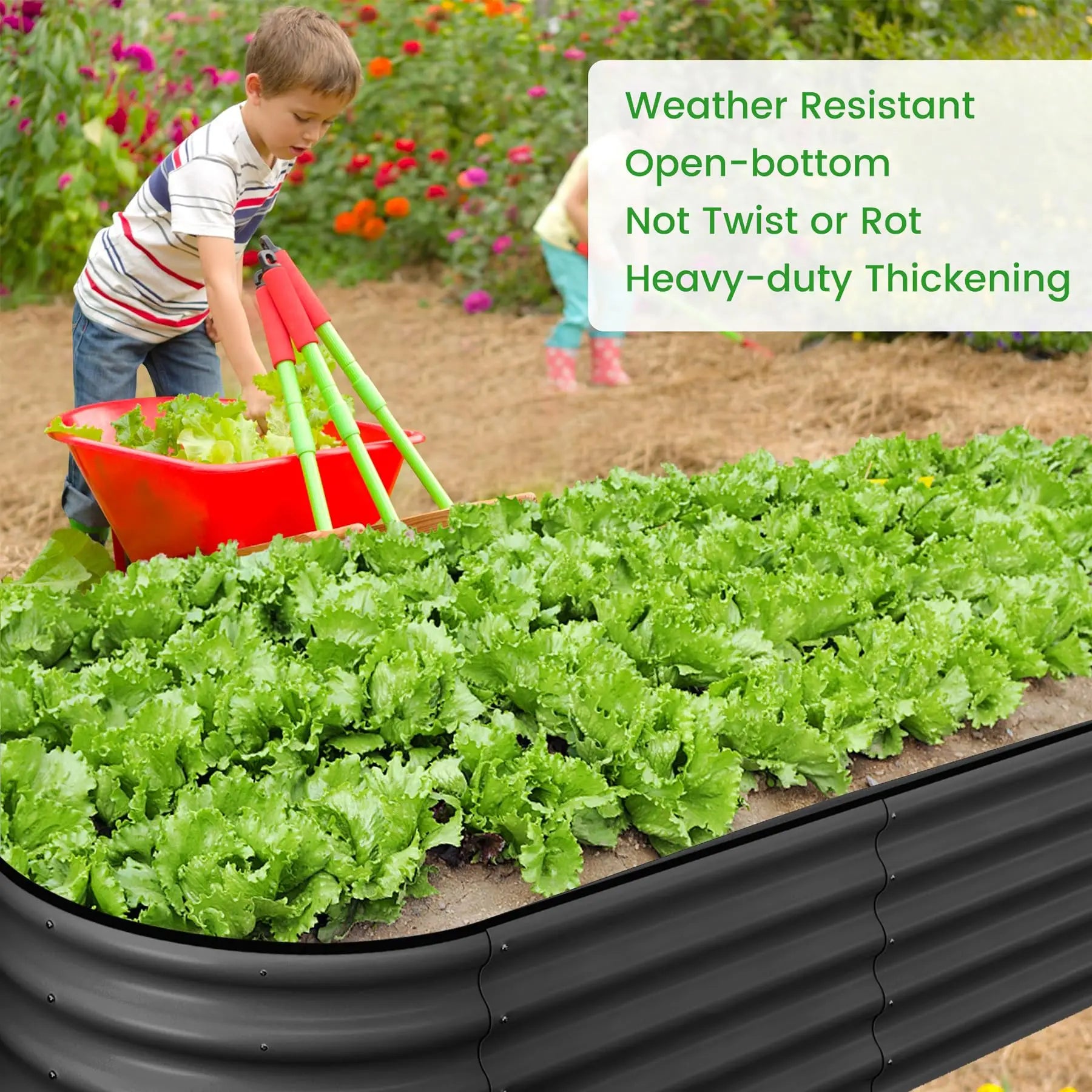 2-Pack Oval Galvanized Steel Raised Garden Beds