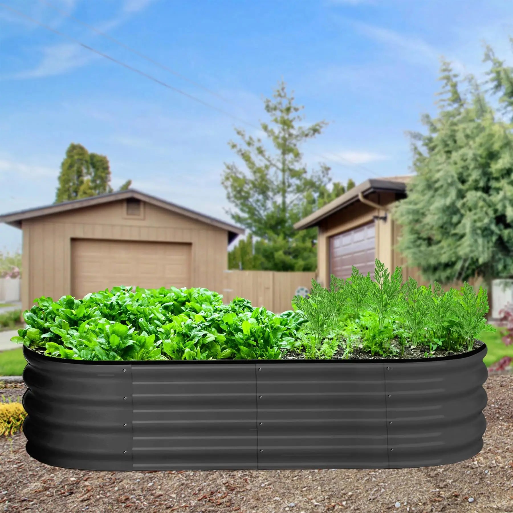 2-Pack Oval Galvanized Steel Raised Garden Beds