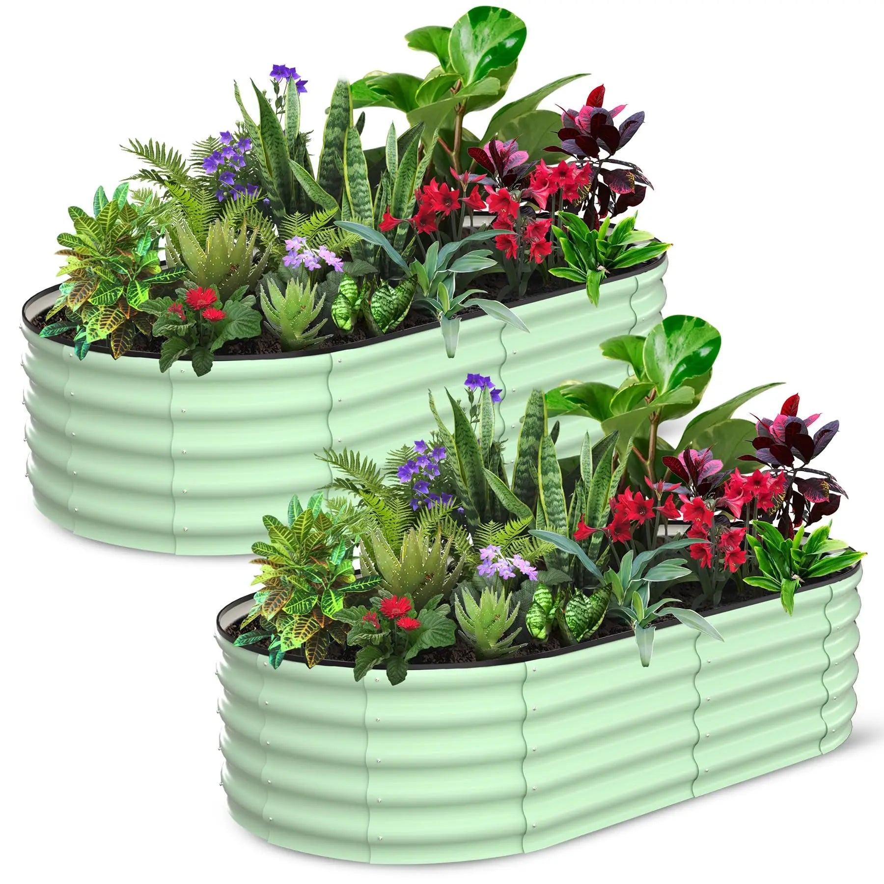 2-Pack Oval Galvanized Steel Raised Garden Beds
