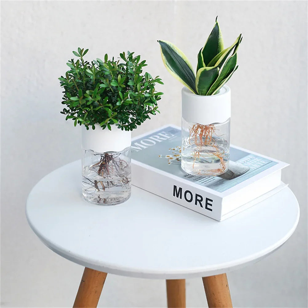 Mini Hydroponic Flower Pot |