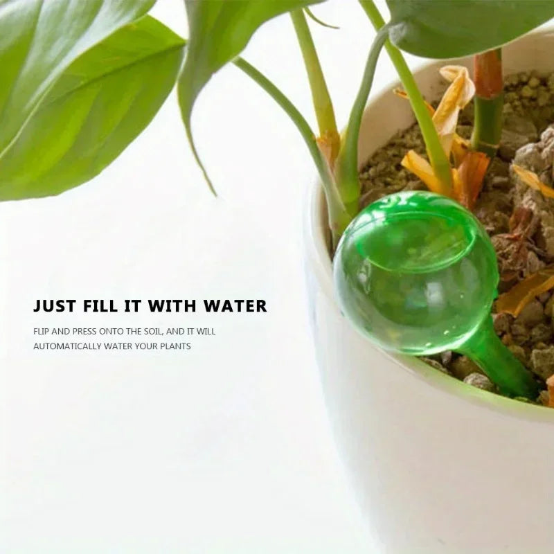 10Pcs Clear Plant Watering Globes