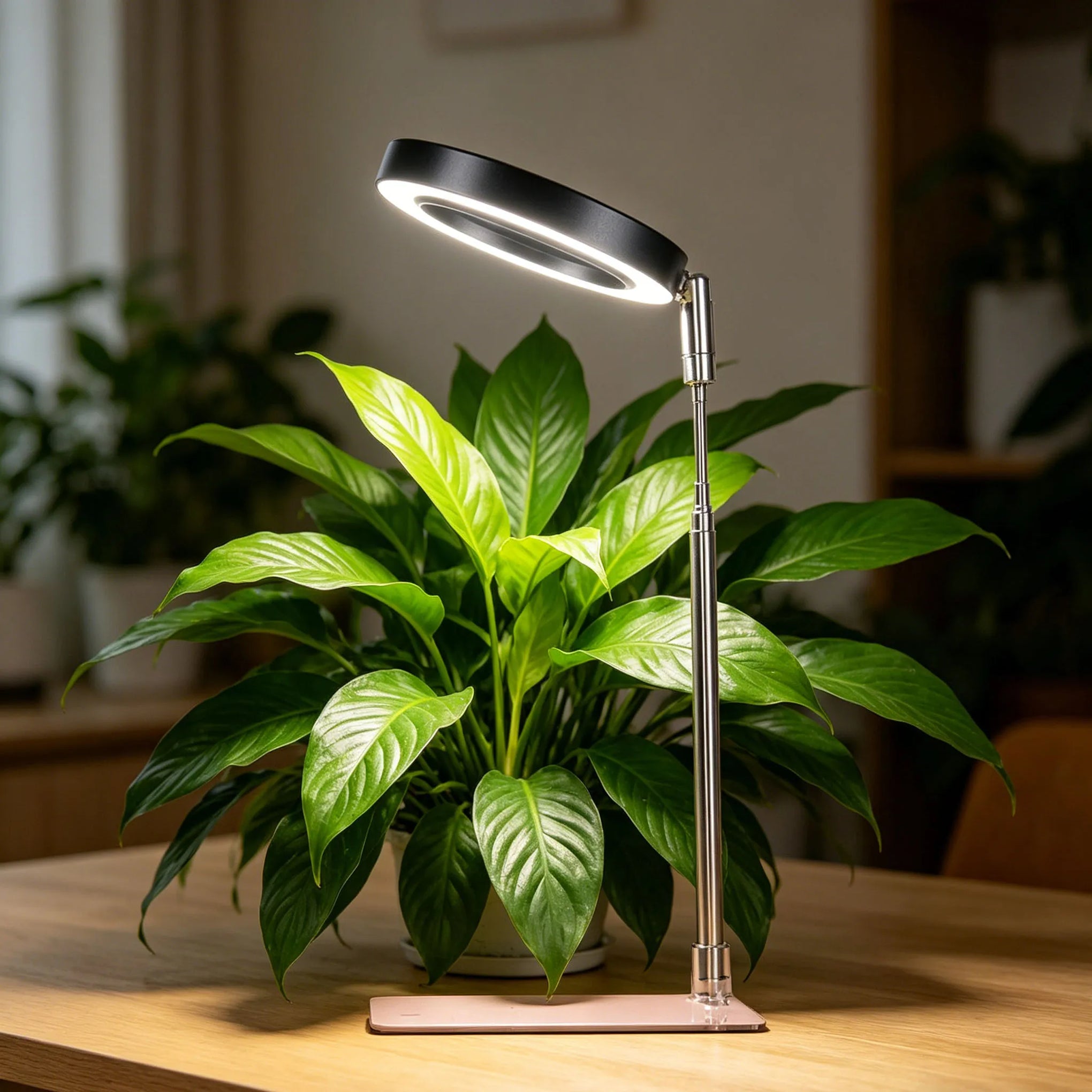 Indoor Full-Spectrum Plant Growth Lights