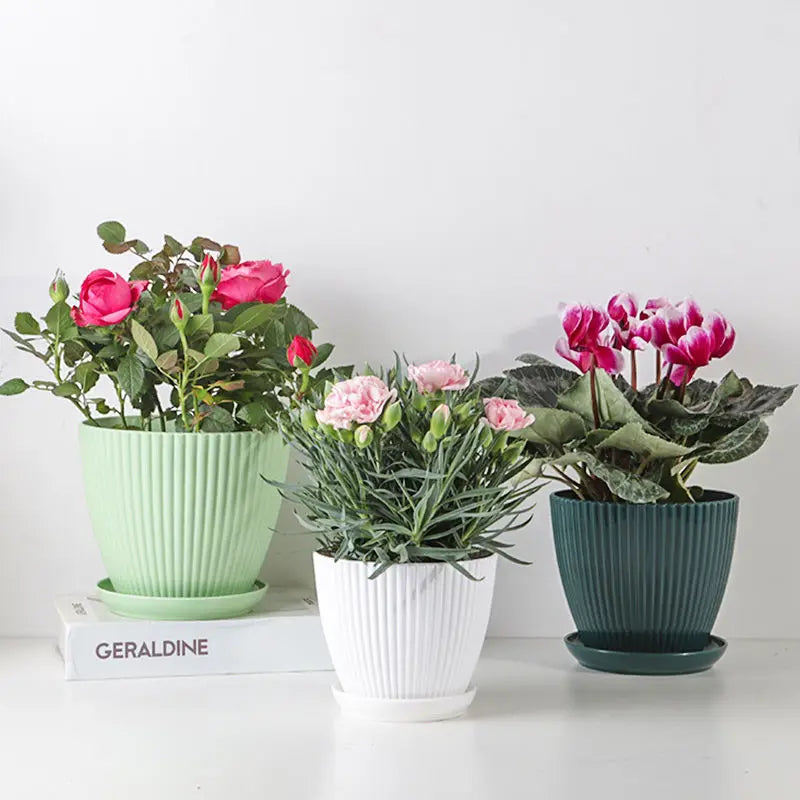 Round Flower Pots with Trays
