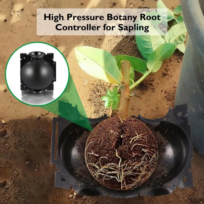 Grafting Rooting Boxes for Garden Plant Propagation