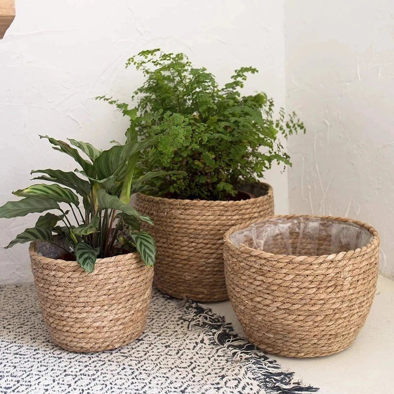 Straw Woven Plant Pot Basket