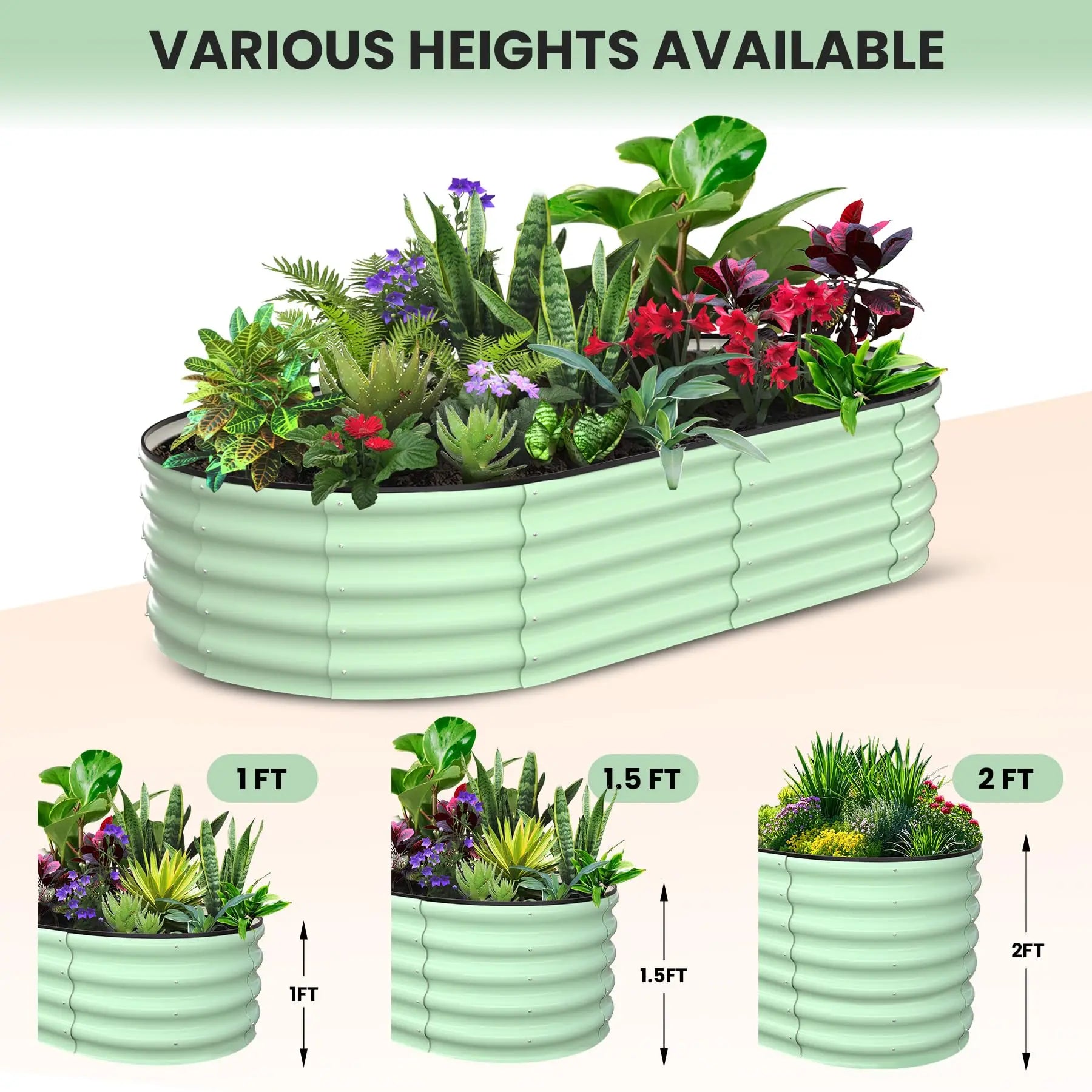 2-Pack Oval Galvanized Steel Raised Garden Beds
