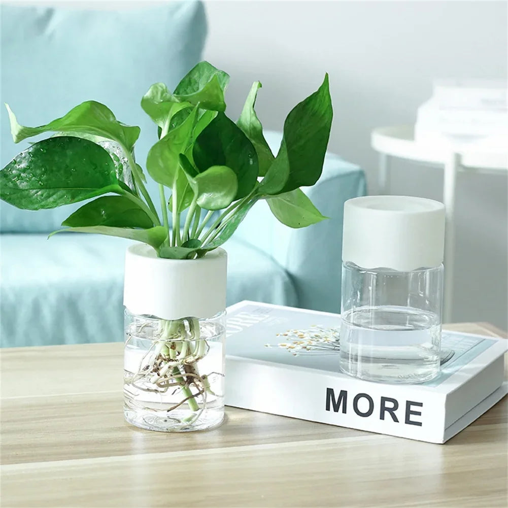 Mini Hydroponic Flower Pot |