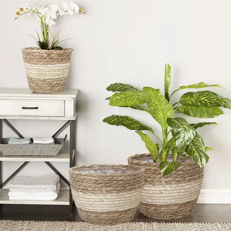 Straw Woven Plant Pot Basket