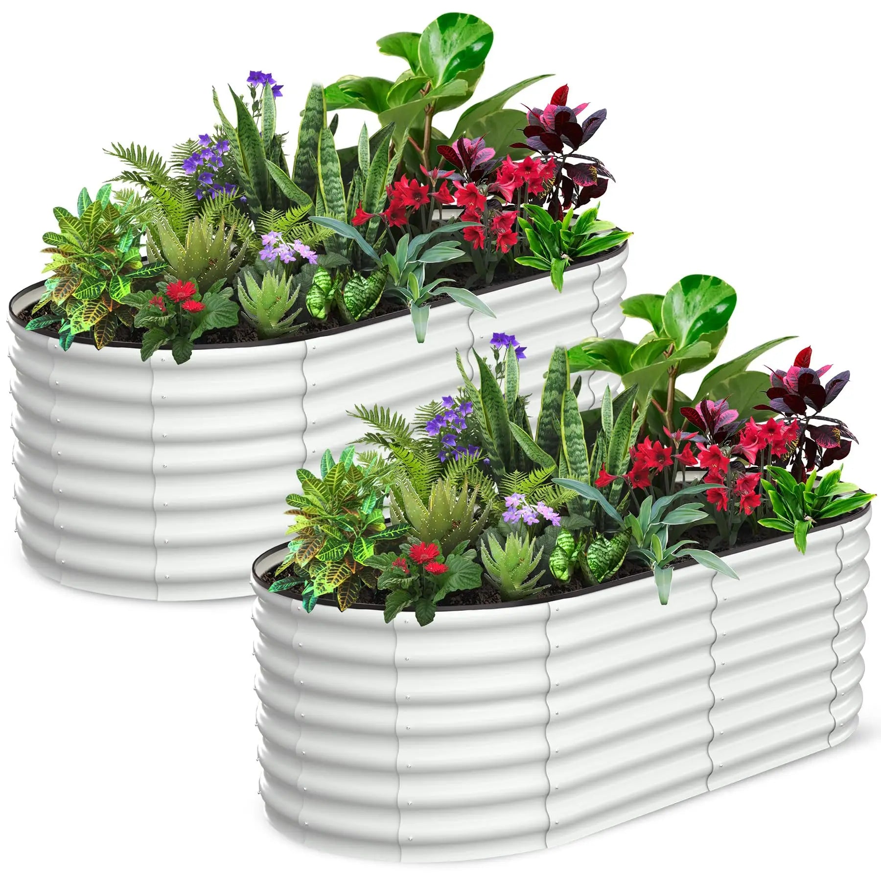 2-Pack Oval Galvanized Steel Raised Garden Beds