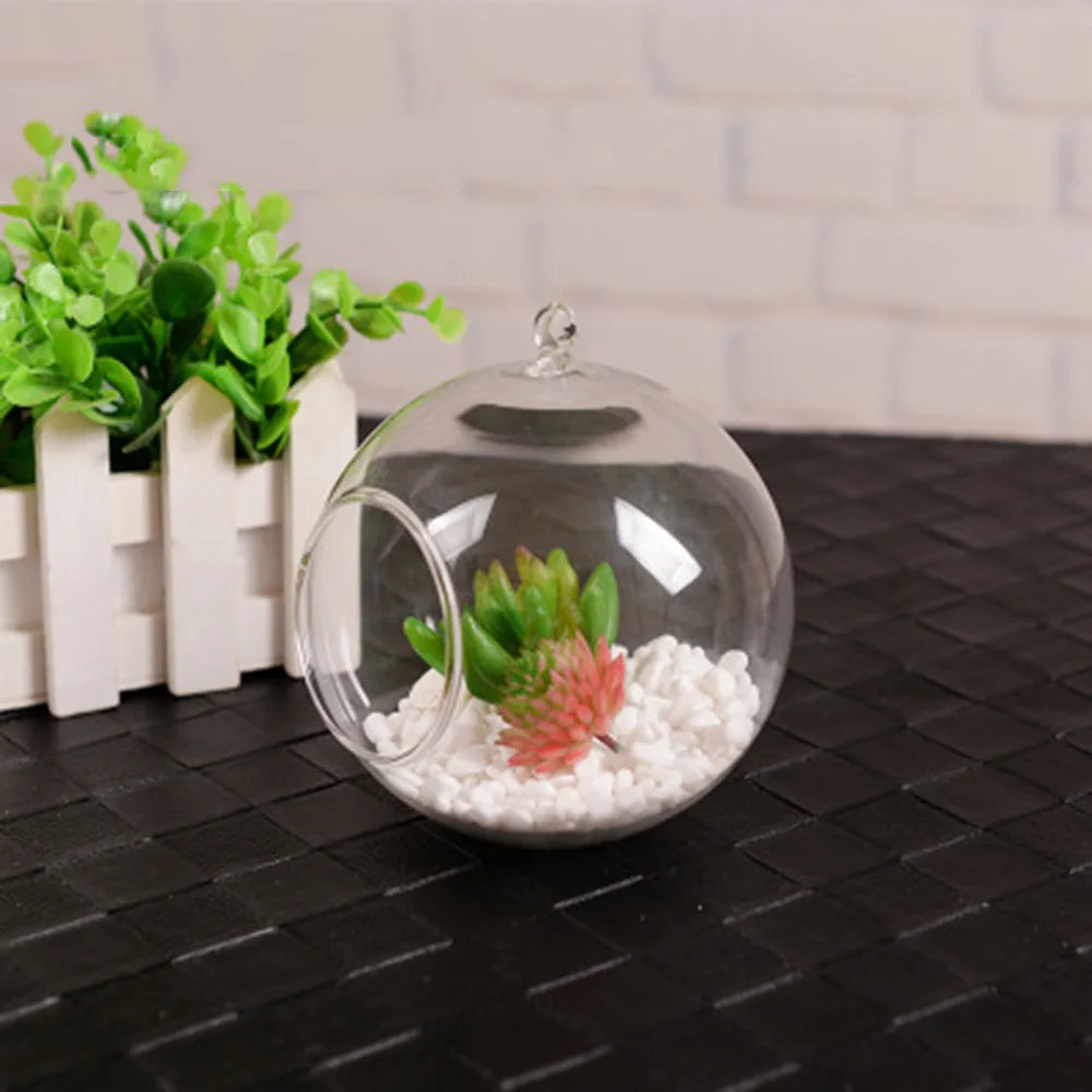 Clear Glass Globe Terrarium