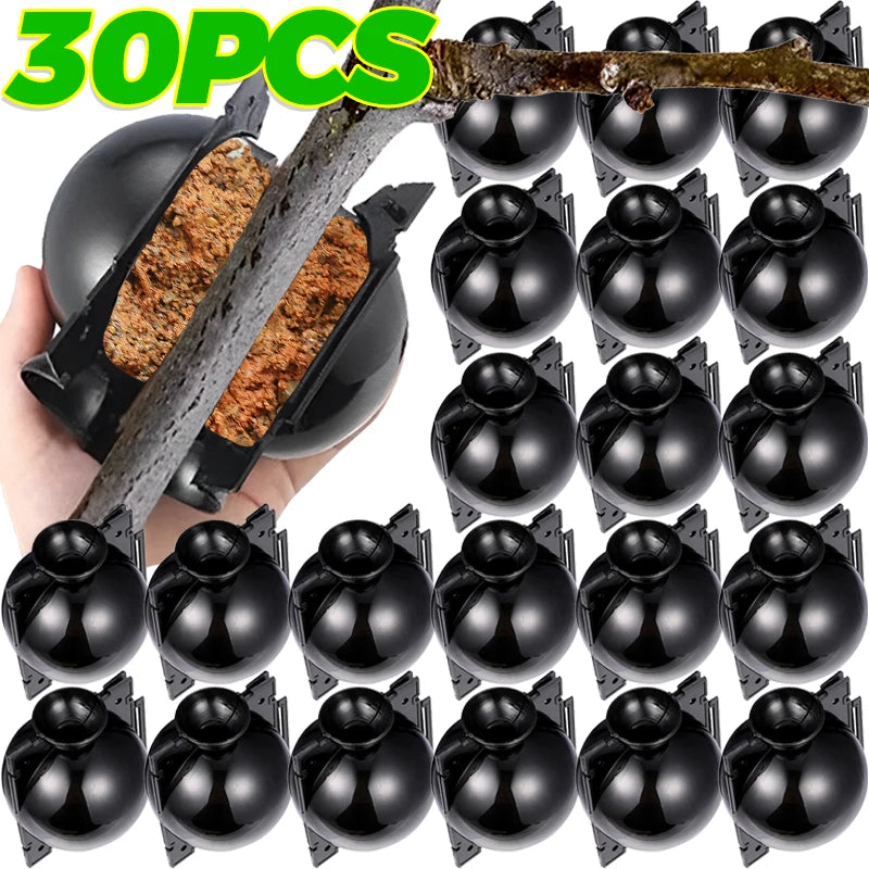 Grafting Rooting Boxes for Garden Plant Propagation
