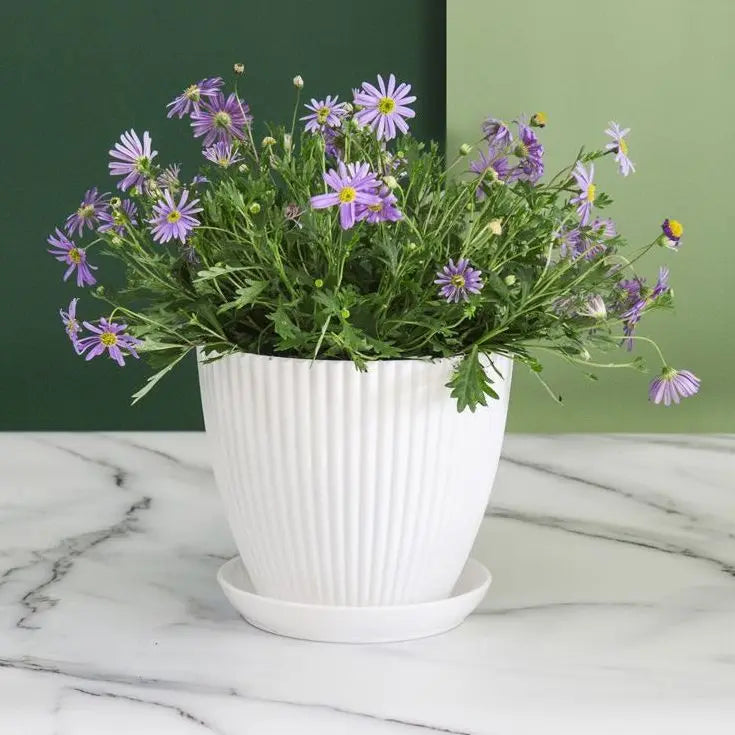 Round Flower Pots with Trays