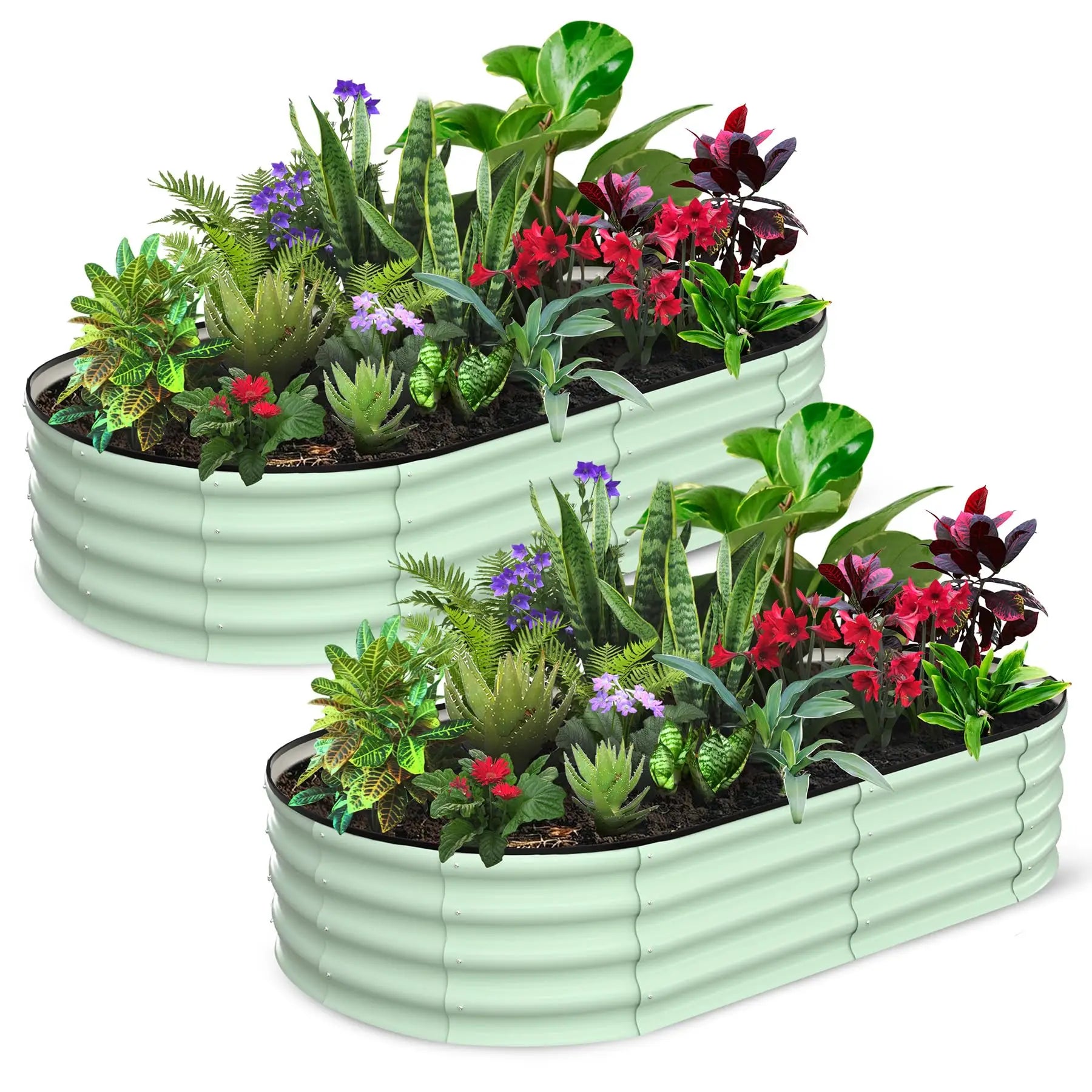 2-Pack Oval Galvanized Steel Raised Garden Beds