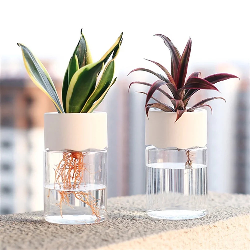 Mini Hydroponic Flower Pot |