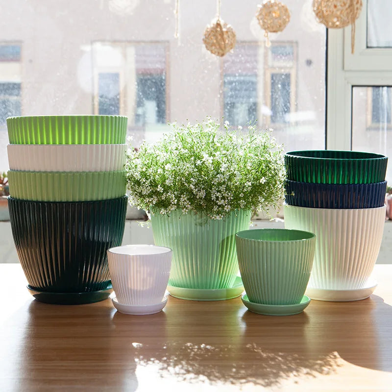 Round Flower Pots with Trays