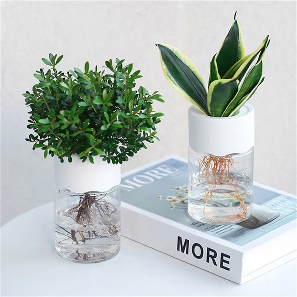 Mini Hydroponic Flower Pot |