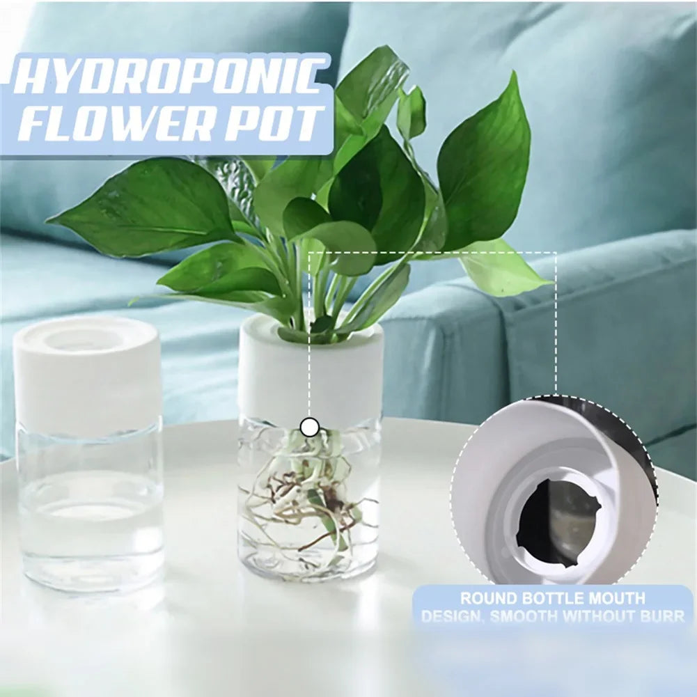 Mini Hydroponic Flower Pot |