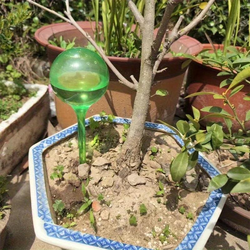 10Pcs Clear Plant Watering Globes