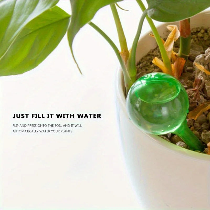 10Pcs Clear Plant Watering Globes