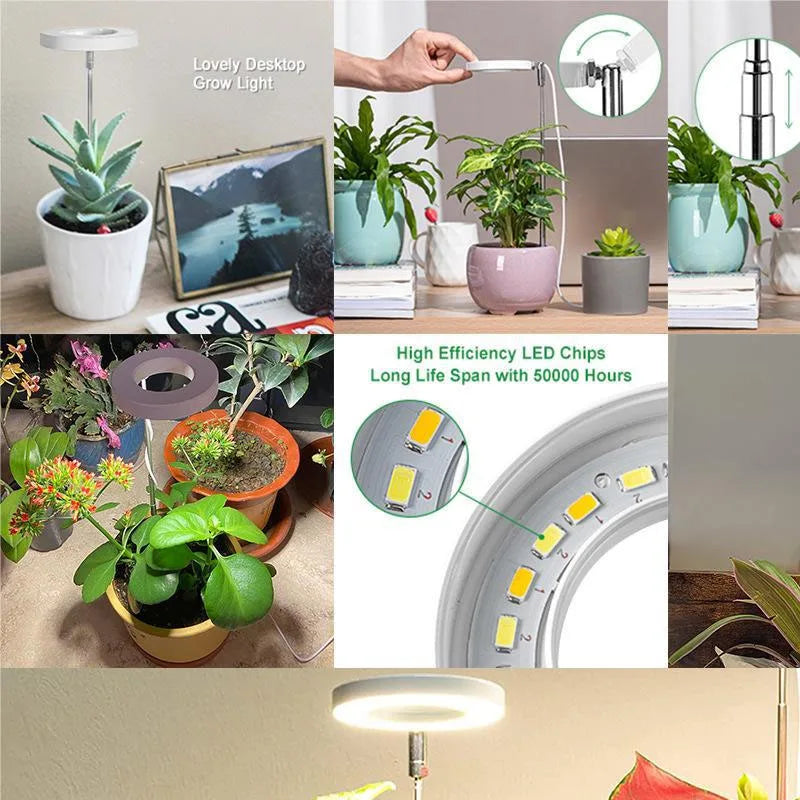 Full-Spectrum LED Grow Light
