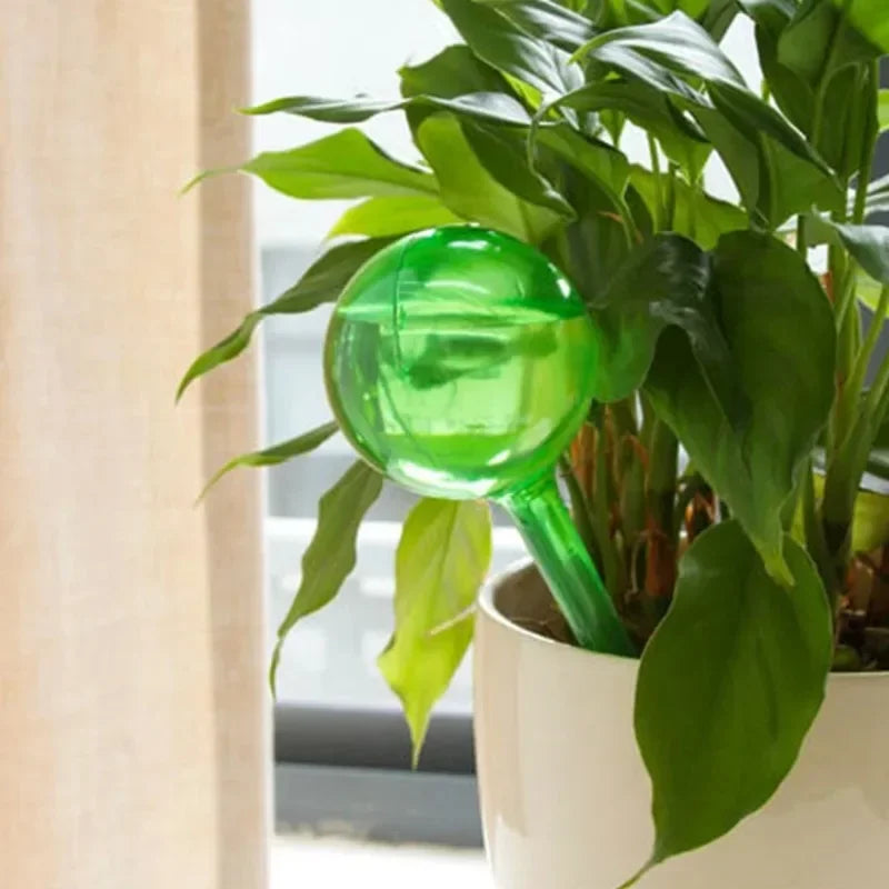 10Pcs Clear Plant Watering Globes