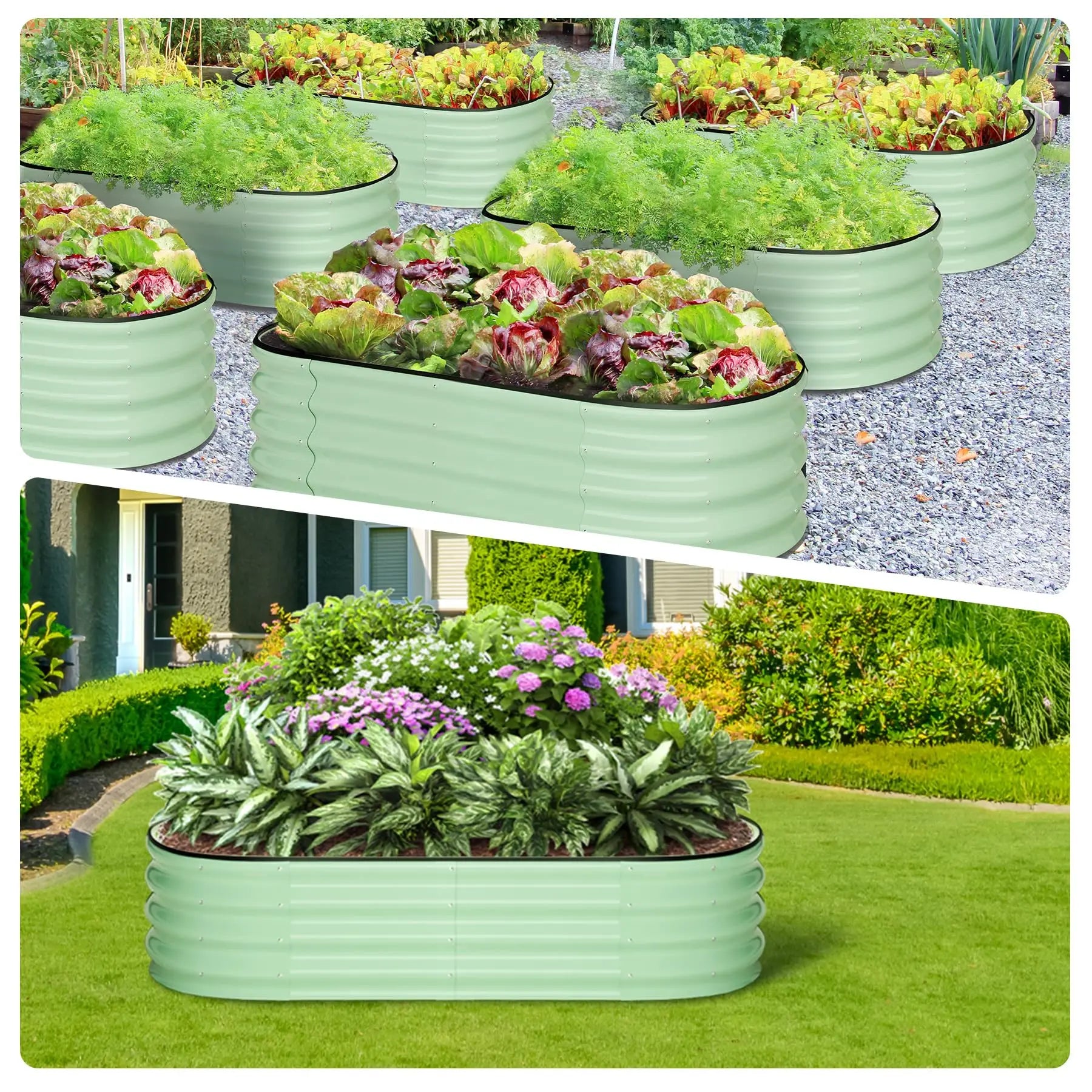 2-Pack Oval Galvanized Steel Raised Garden Beds