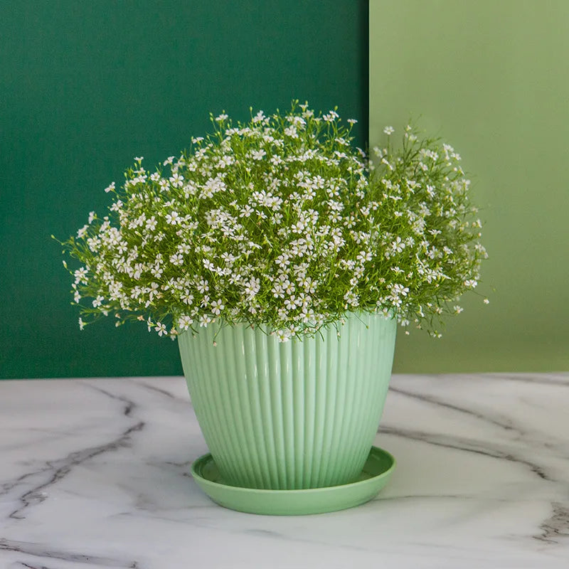 Round Flower Pots with Trays