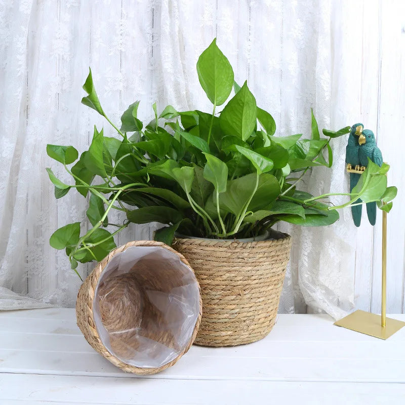 Straw Woven Plant Pot Basket