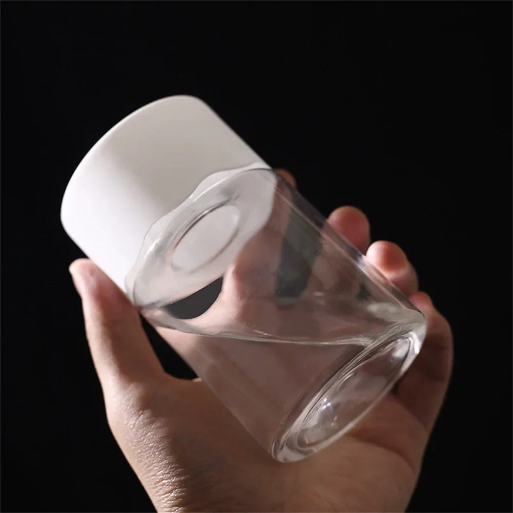 Mini Hydroponic Flower Pot |