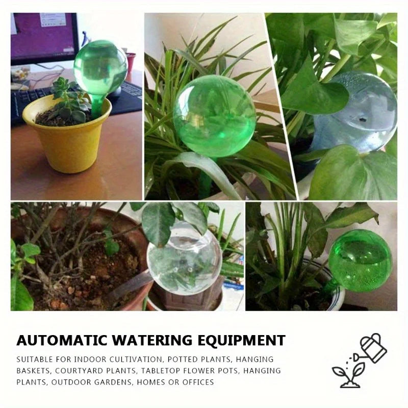 10Pcs Clear Plant Watering Globes