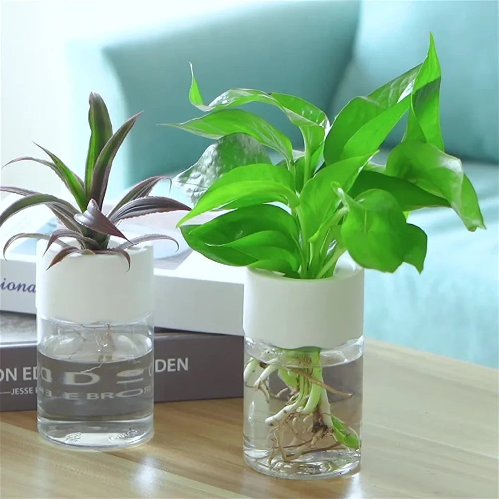 Mini Hydroponic Flower Pot |