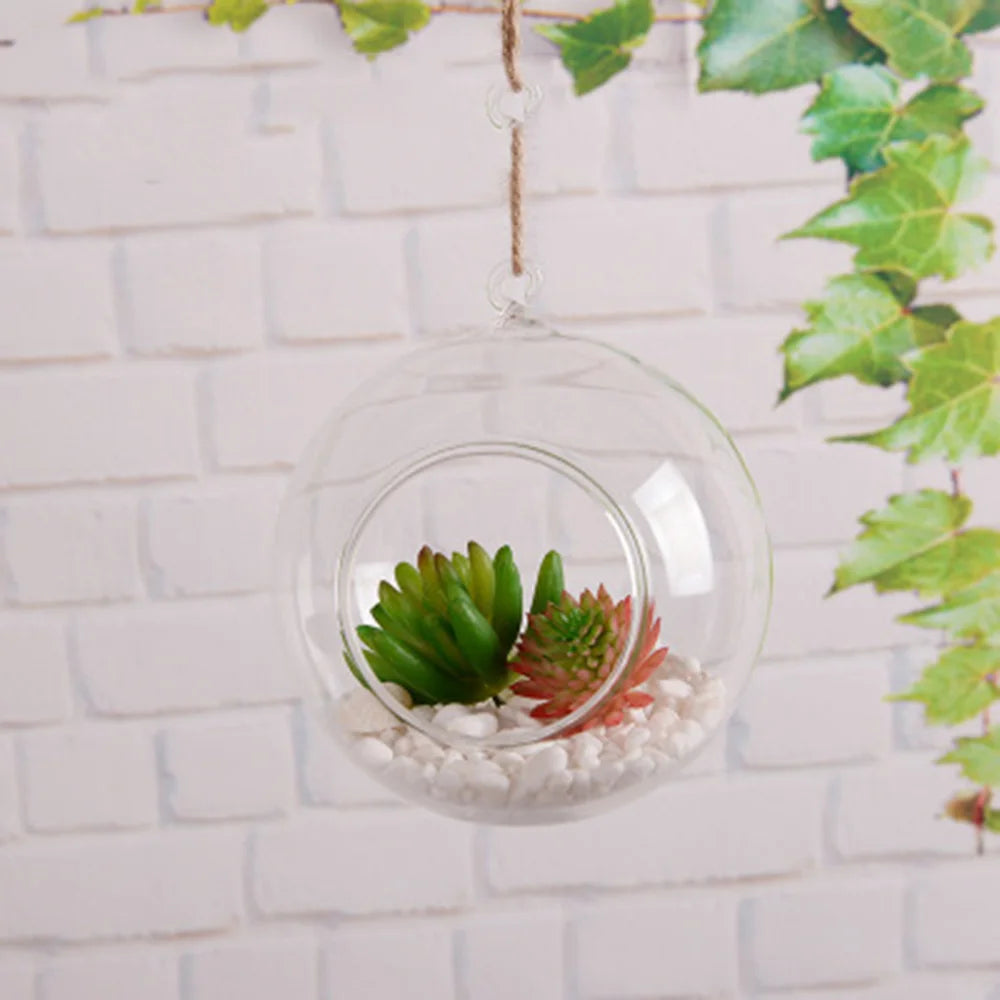 Clear Glass Globe Terrarium