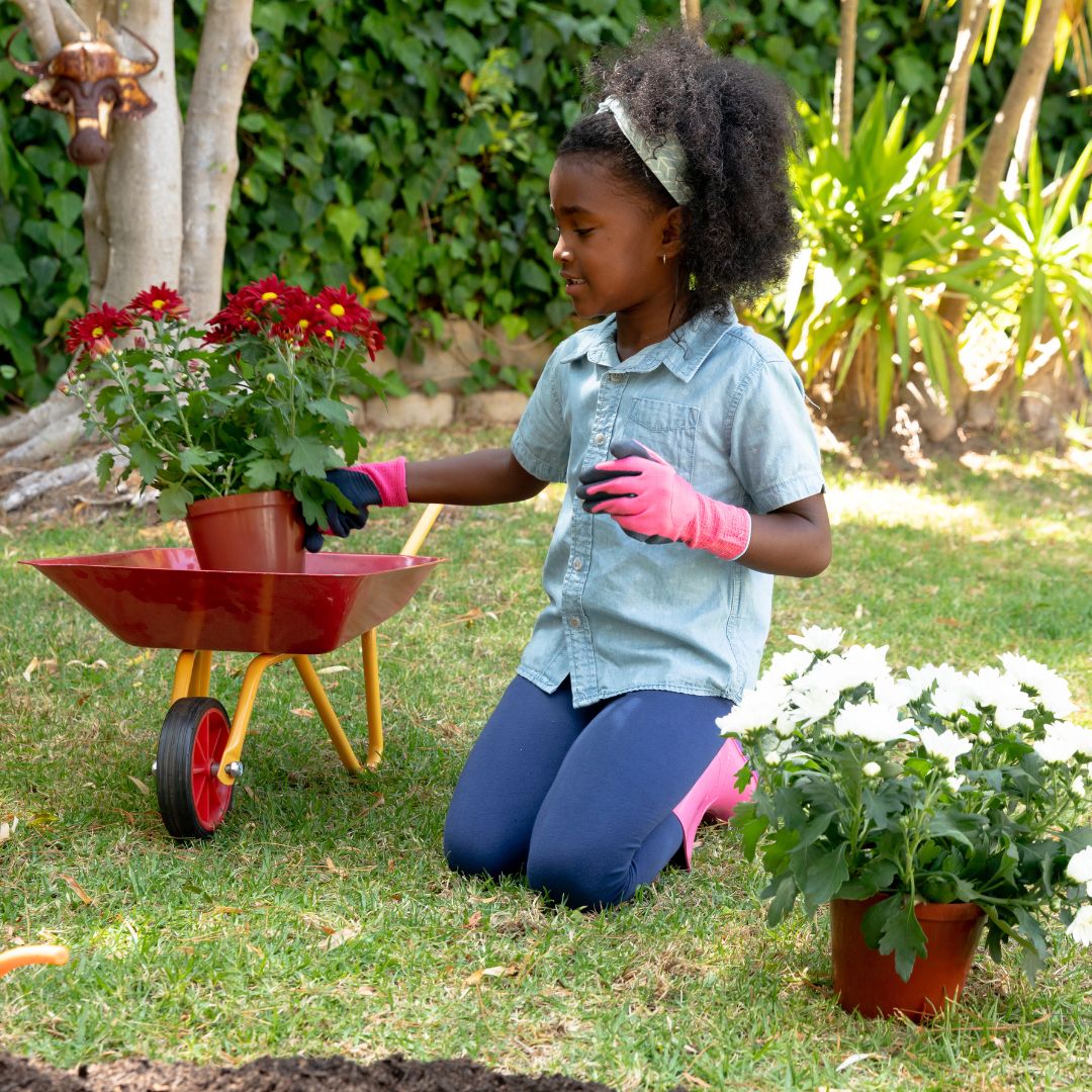 Child gardening with a red wheelbarrow and plants in a garden setting