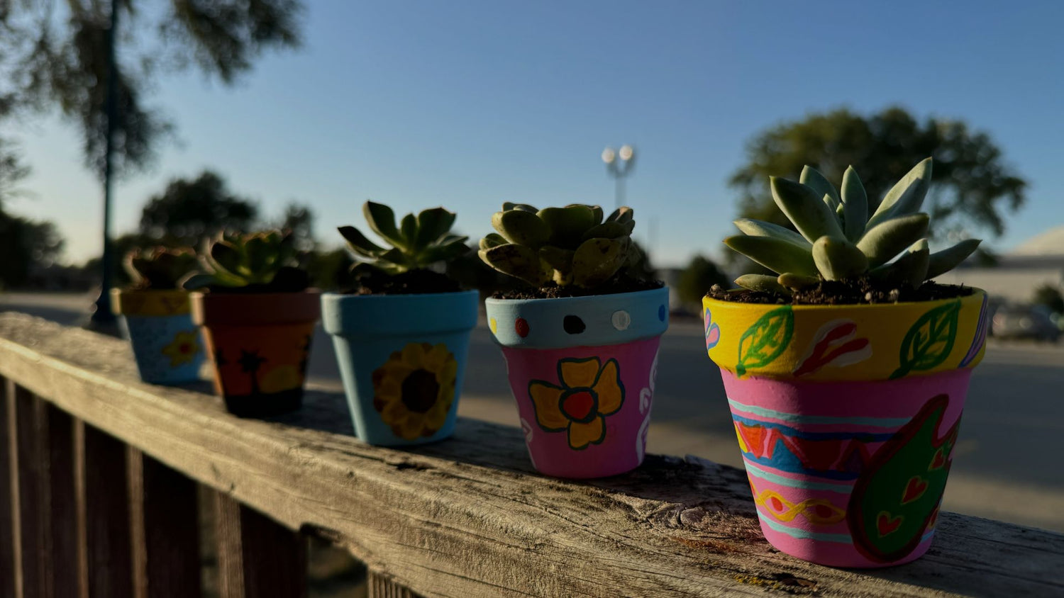 Colorful painted pots with succulents on a wooden railing outdoors.
