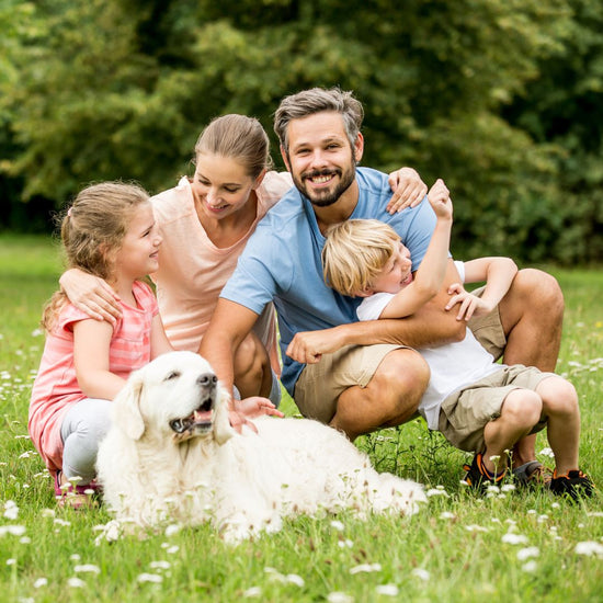 Family of four with a dog sitting on a grassy field
