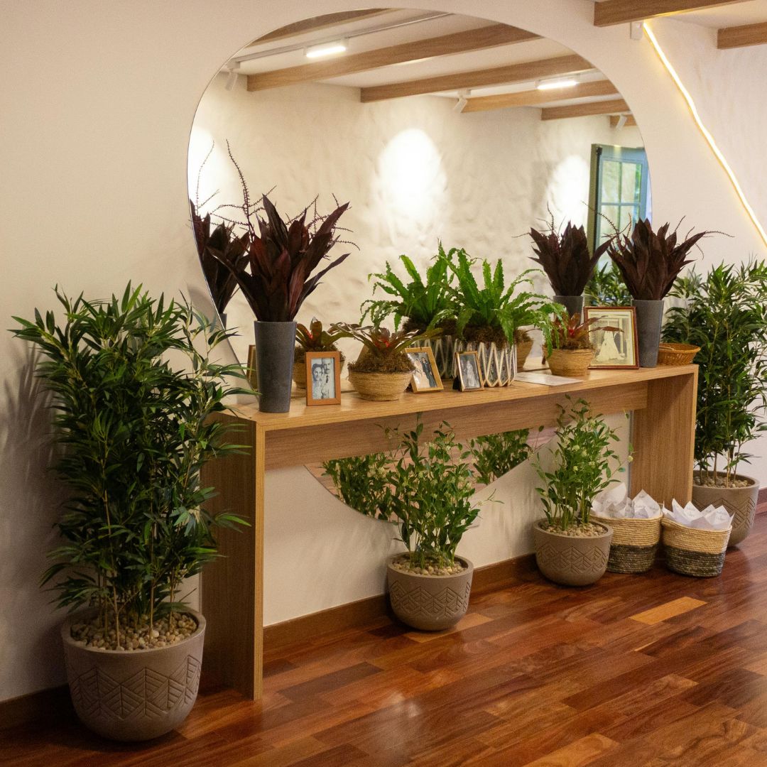 Room with wooden console table and various potted plants on a wooden floor.