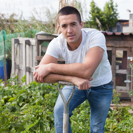 Man leaning on a garden spade in a vegetable garden