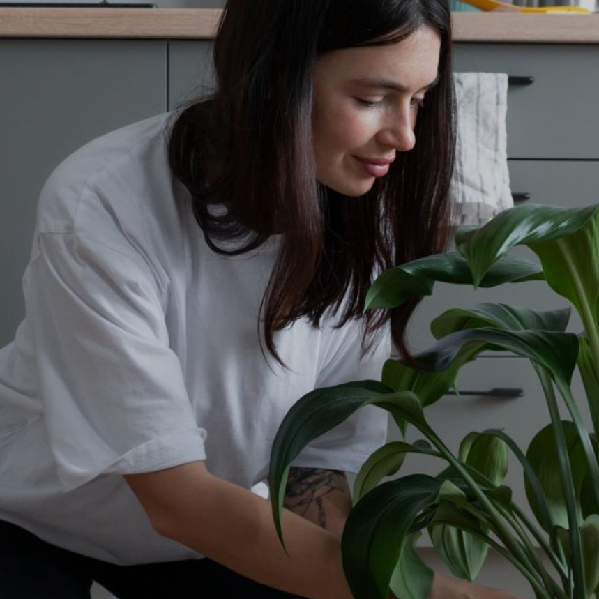 Woman tending to a potted plant in a kitchen setting