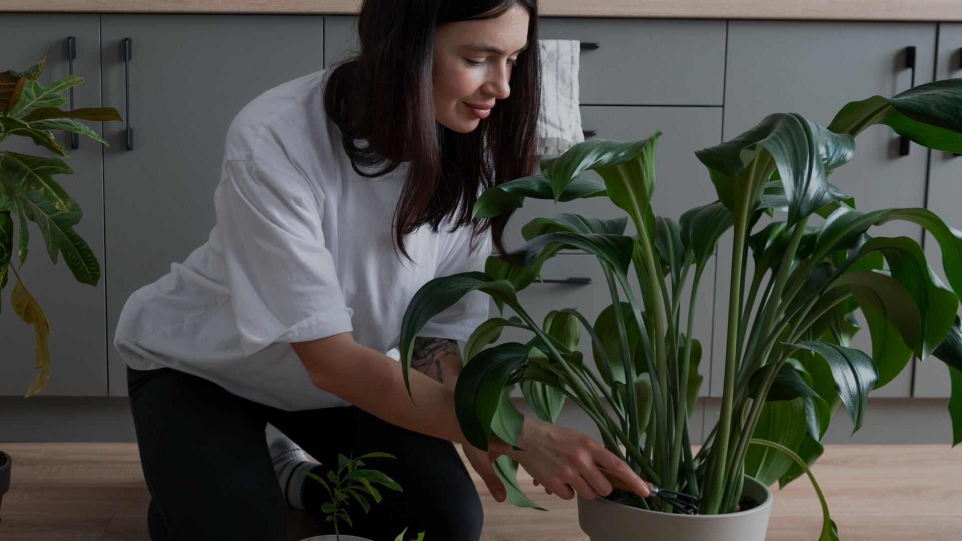 Woman tending to a potted plant 